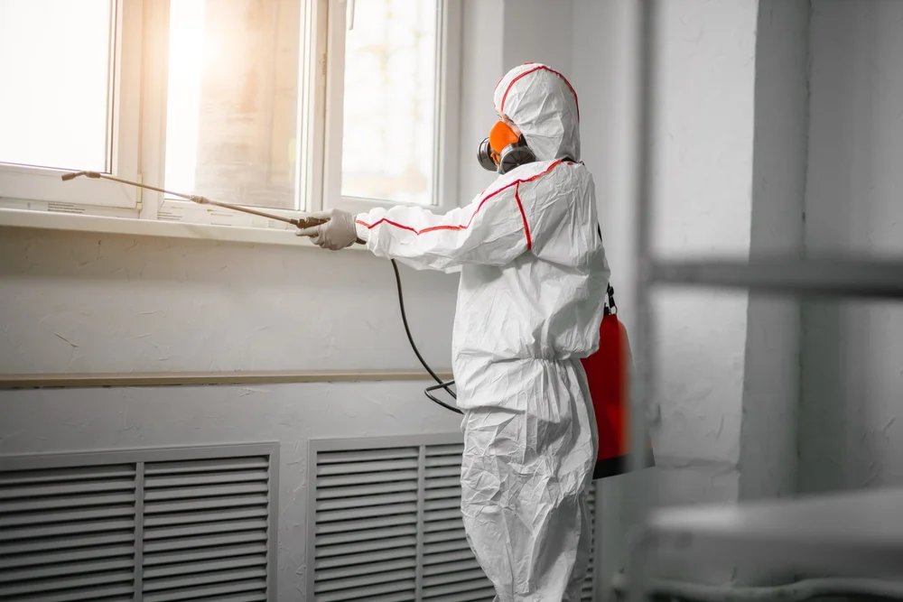 Professional mold remediation services in Euless, TX